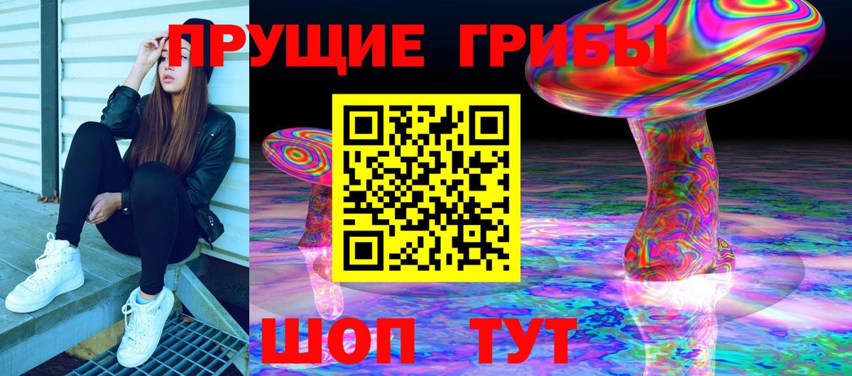 купить наркоту  Вход с VPN  Выборг  Псилоцибиновые грибы Magic Shrooms 